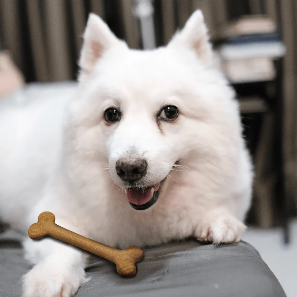 Fofos Woodplay Bone Twins Toy for Dogs