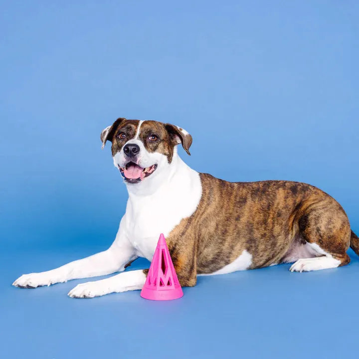 Fringe Dog Toy Rubber You Cone Do It